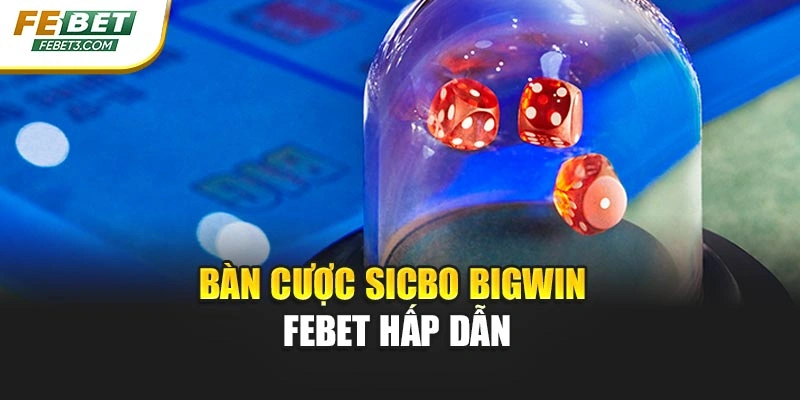 Bàn cược Sicbo Bigwin FEBET hấp dẫn