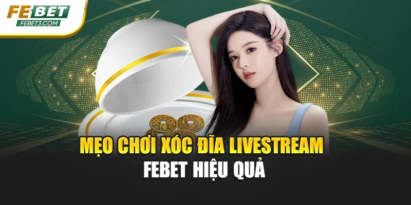 Mẹo chơi xóc đĩa livestream FEBET hiệu quả